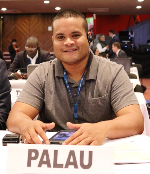 Palau CMS