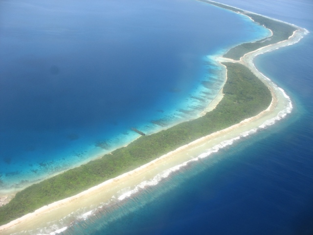 jaluitatoll_vaijungblut