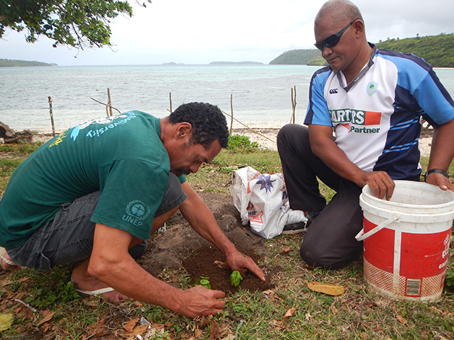 tree planting web