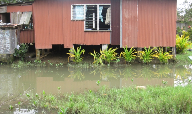Pacific countries can expect more rain. 