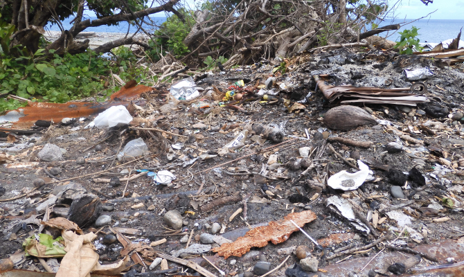Disaster waste 