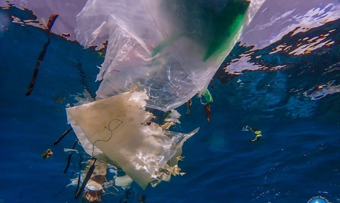 Marine plastic pollution 