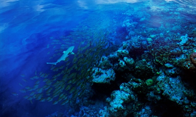 Pacific Marine Climate Change Report Card
