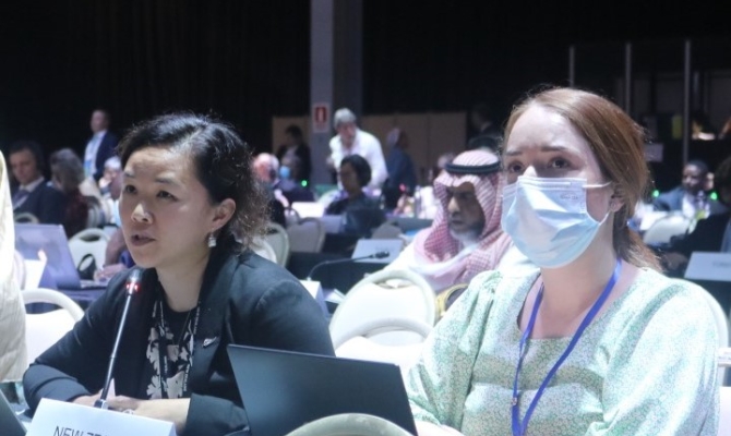 New  Zealand's delegation at INC1.
