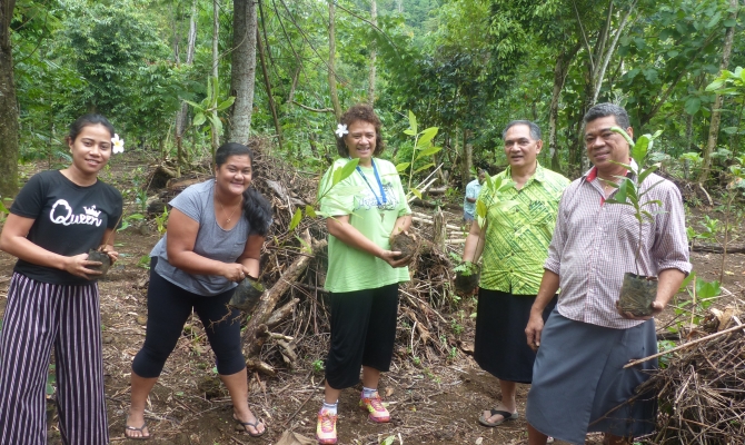Tree planting