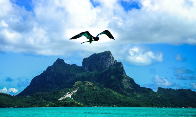 Lead image: Call for Speakers at the Nature Conservation Conference in 2020!