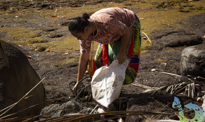 Efforts being made to keep the Pacific clean 