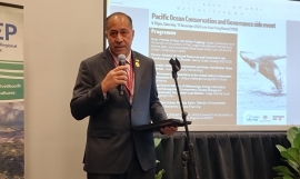 Niue Premier