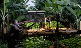 Kiwa Initiative