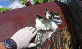 Asbestos