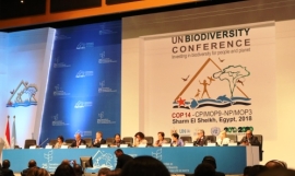 CBD COP14