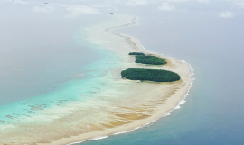 Pacific resilience 