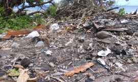 Disaster waste 