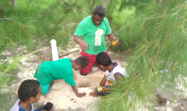 turtle research