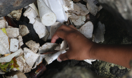 Picking rubbish