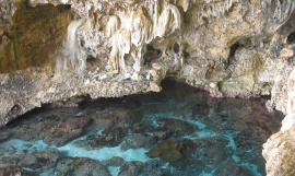 BIOPAMA Niue