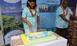 Cake cutting 