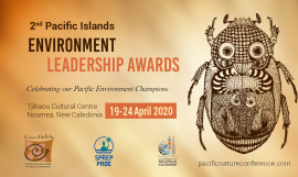 PIELA_Media Award