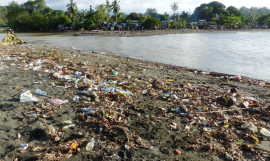 The Effects of Plastic Pollution on Marine Food Webs and Implications for Human Health is one of the PhD scholarship topics offered