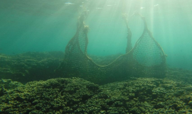 Marine Debris