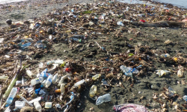 Marine Debris in the Pacific