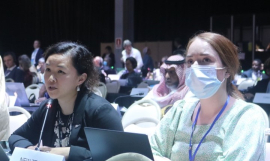 New  Zealand's delegation at INC1.