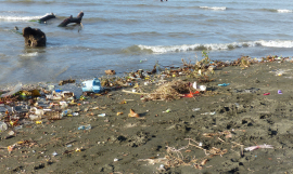 Waste_Solomon Islands