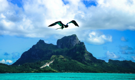 Lead image: Call for Speakers at the Nature Conservation Conference in 2020!