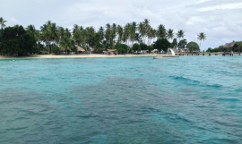 RMI 
