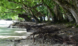 Vanuatu 