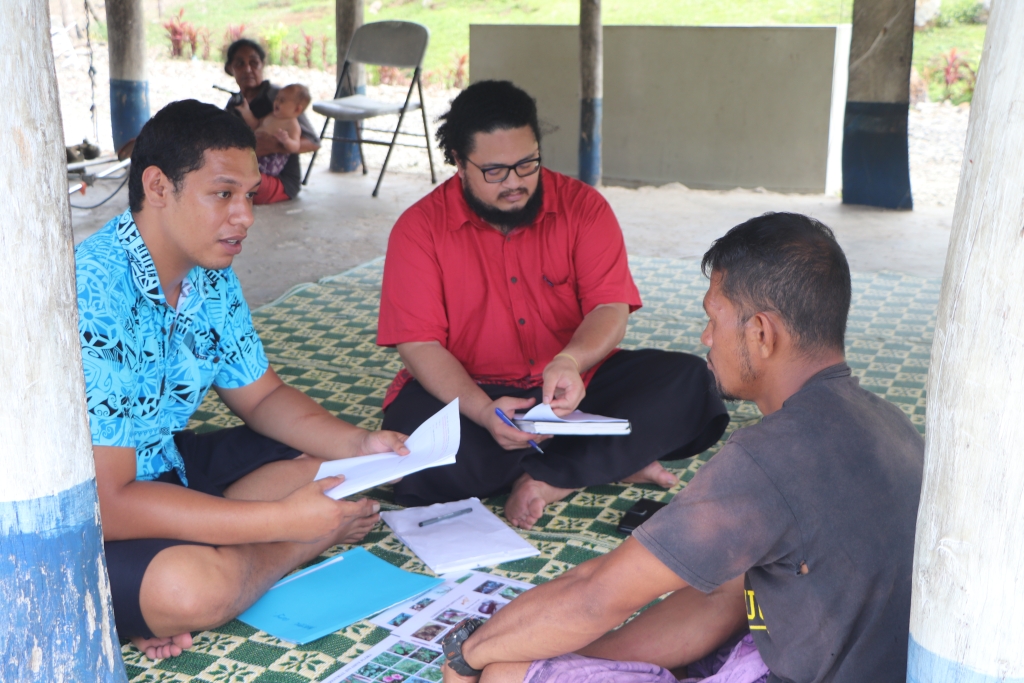 Field work 