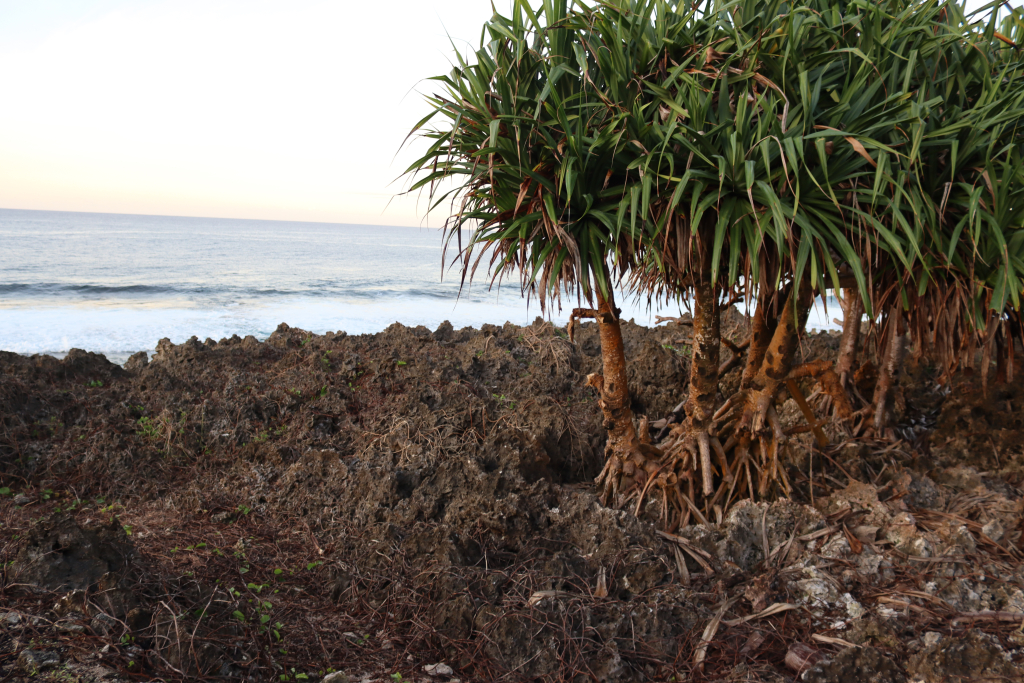 Mangaia coast 