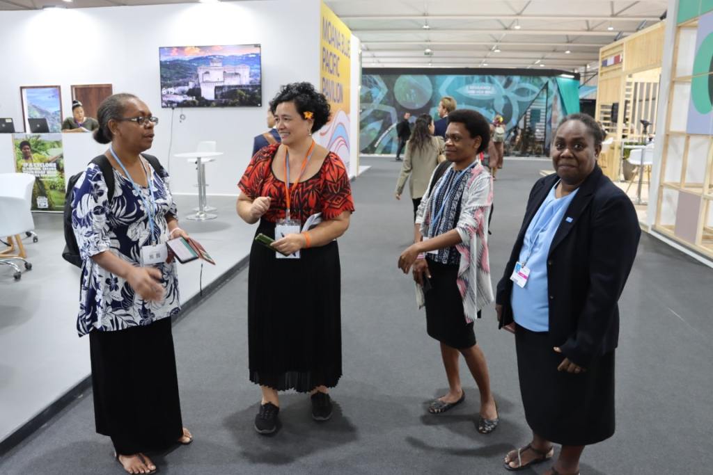Delegates at COP27 