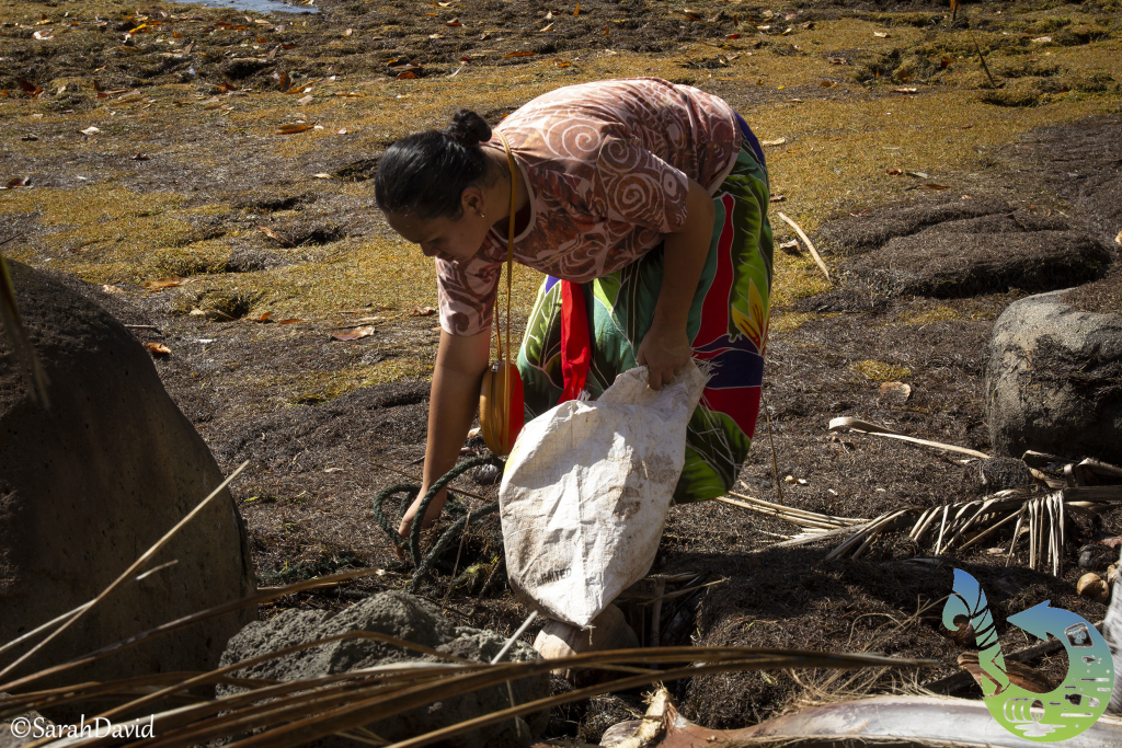Cleaning the Pacific