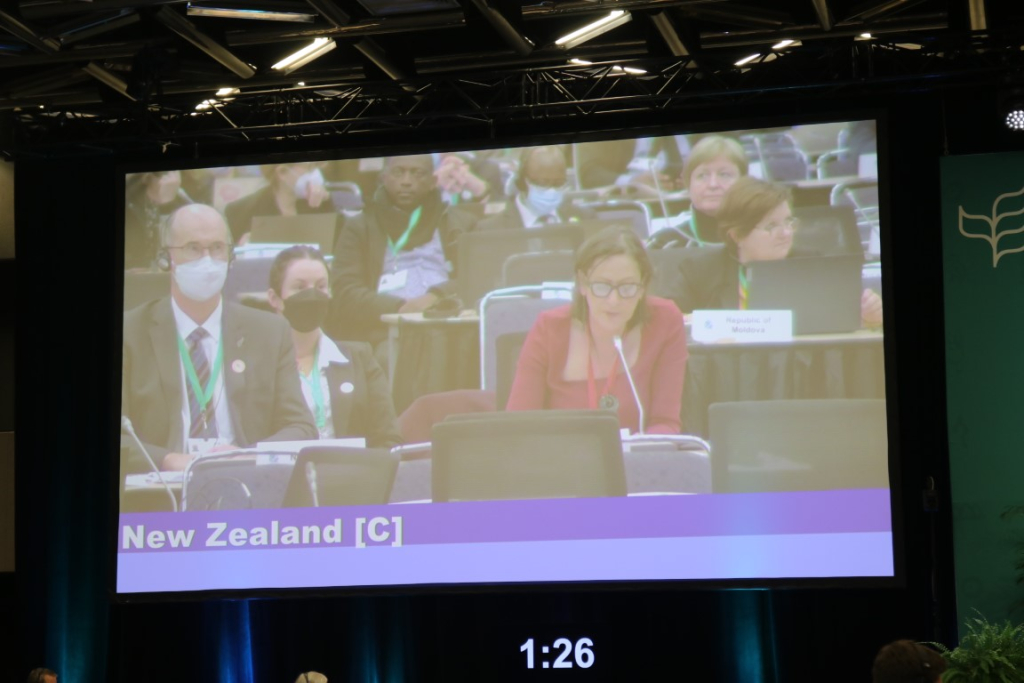 New Zealand statement